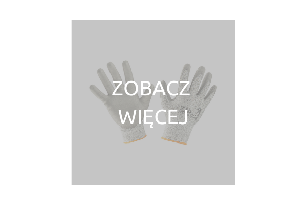 zobacz więcej wyposażenia pracowni w Programie Laboratoria Przyszłości